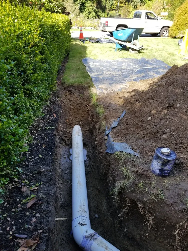 Slide of P4 Construction