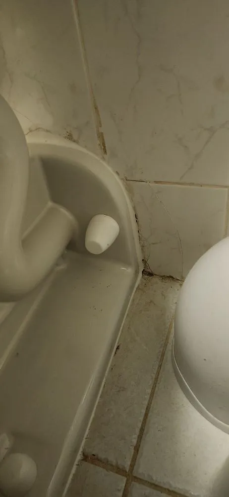 Slide of Pa'a Plumbing