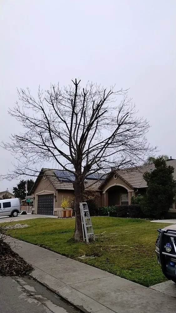 Slide of Pablo Mendoza Landscaping Handyman & plumbing
