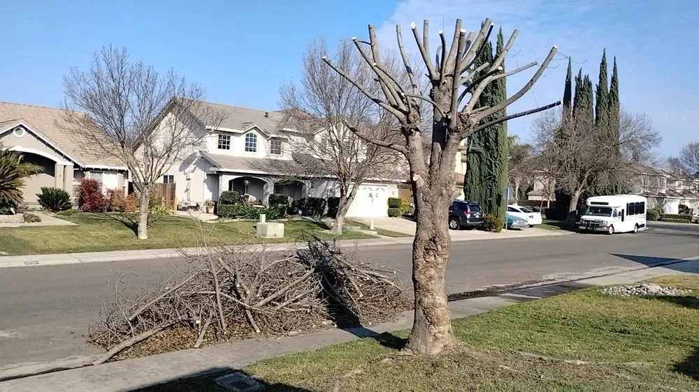 Slide of Pablo Mendoza Landscaping Handyman & plumbing
