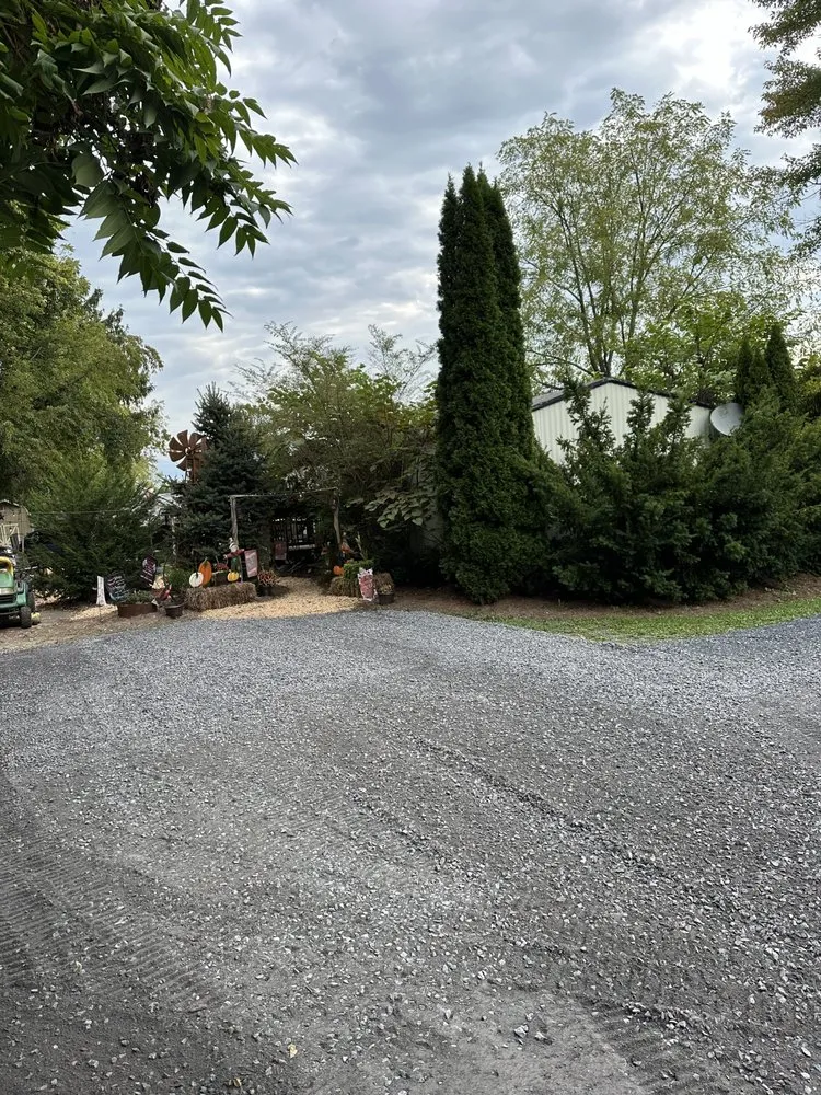 Slide of Pacheco Excavation