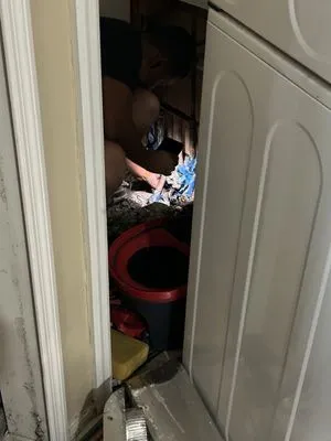 Pacheco Maintenance Logo