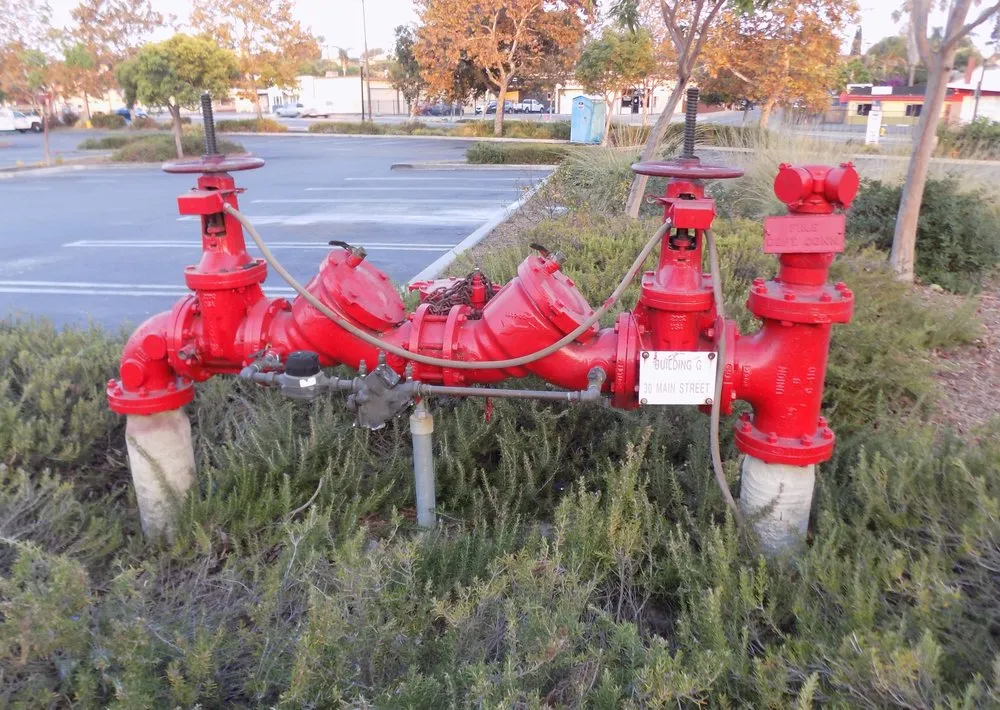 Slide of Pacific Backflow