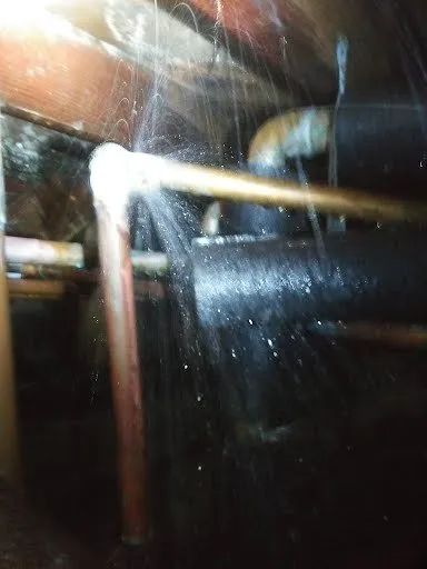 Slide of Pacific Coast Copper Repipe