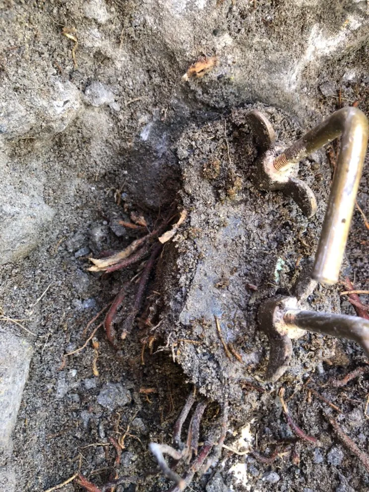 Slide of Pacific Coast Leak Detection