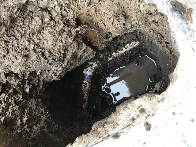 Slide of Pacific Coast Leak Detection