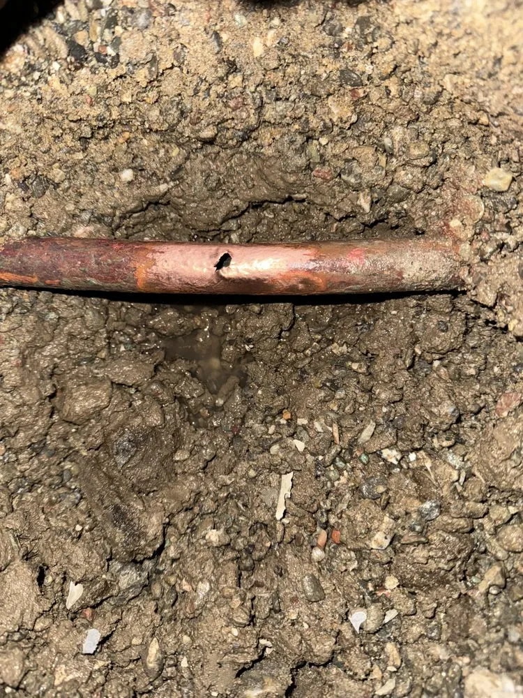 Slide of Pacific Coast Leak Detection