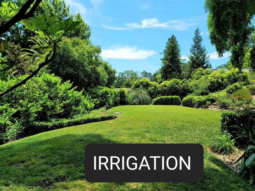 Slide of Pacific Coast Well and Pump