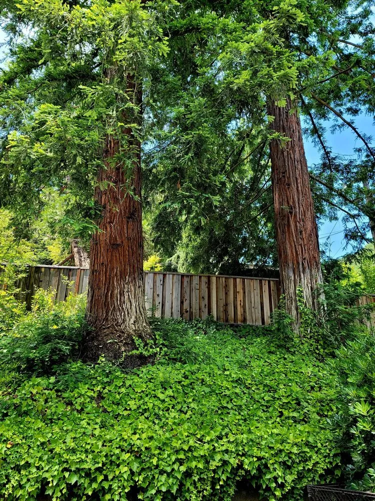 Slide of Pacific Coast Well and Pump