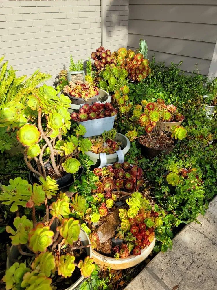 Slide of Pacific Coast Well and Pump