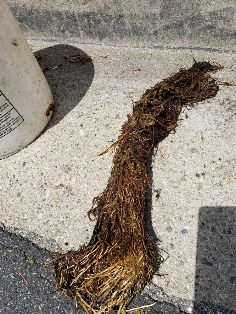 Slide of Pacific Legion & Plumbing