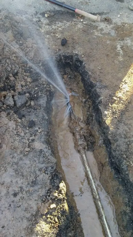 Slide of Pacific Plumbers