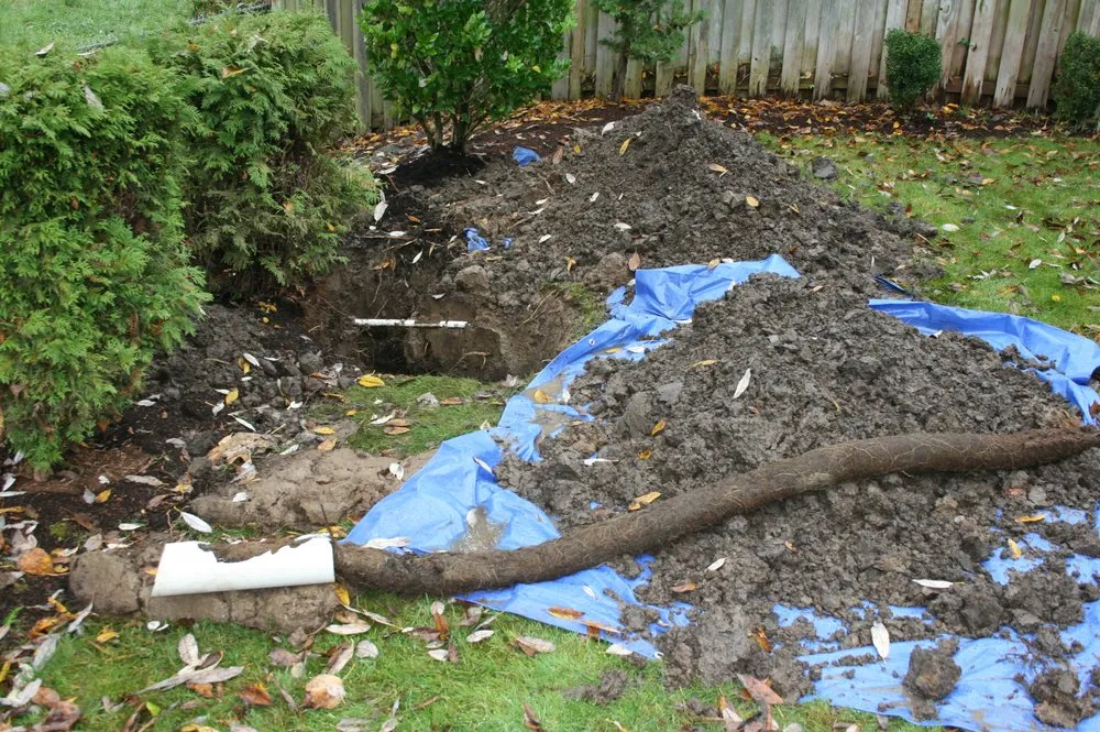 Quality pipe repair in Vancouver, WA by Pacific Plumbing & Drain Services