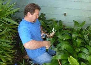 Slide of Pacific Plumbing