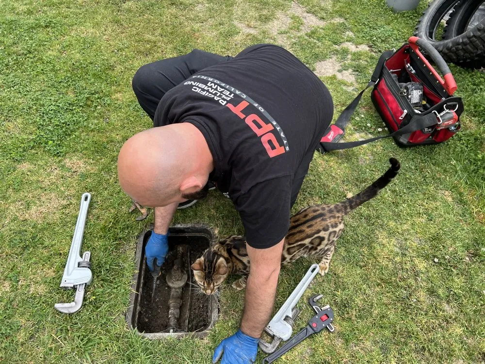 Slide of Pacific Plumbing Team