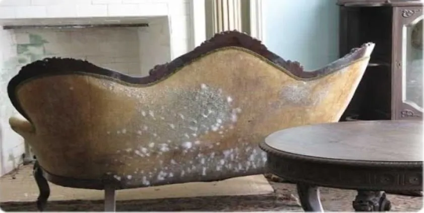 Slide of Pacific Pro Plumbing