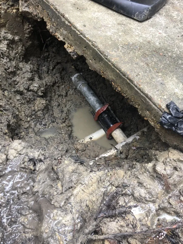 Slide of Paco's Rapid Relief