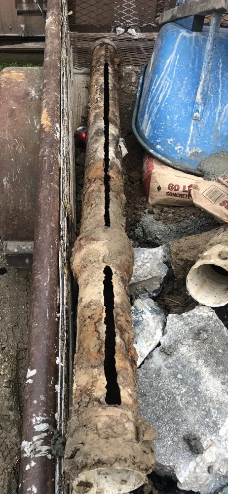 Slide of Paco's Rapid Relief