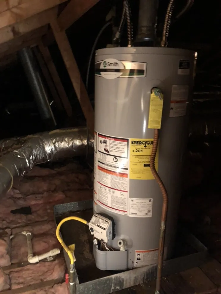 Slide of Paco's Rapid Relief