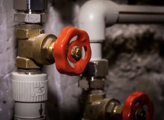 Padilla’s Personal Services Logo