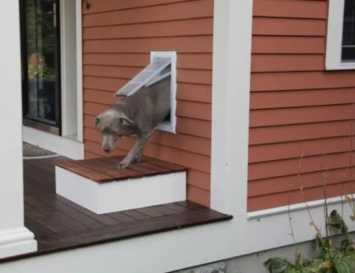 Slide of Pagni Maintenance & Repair