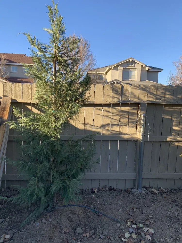 Slide of Pagni Maintenance & Repair