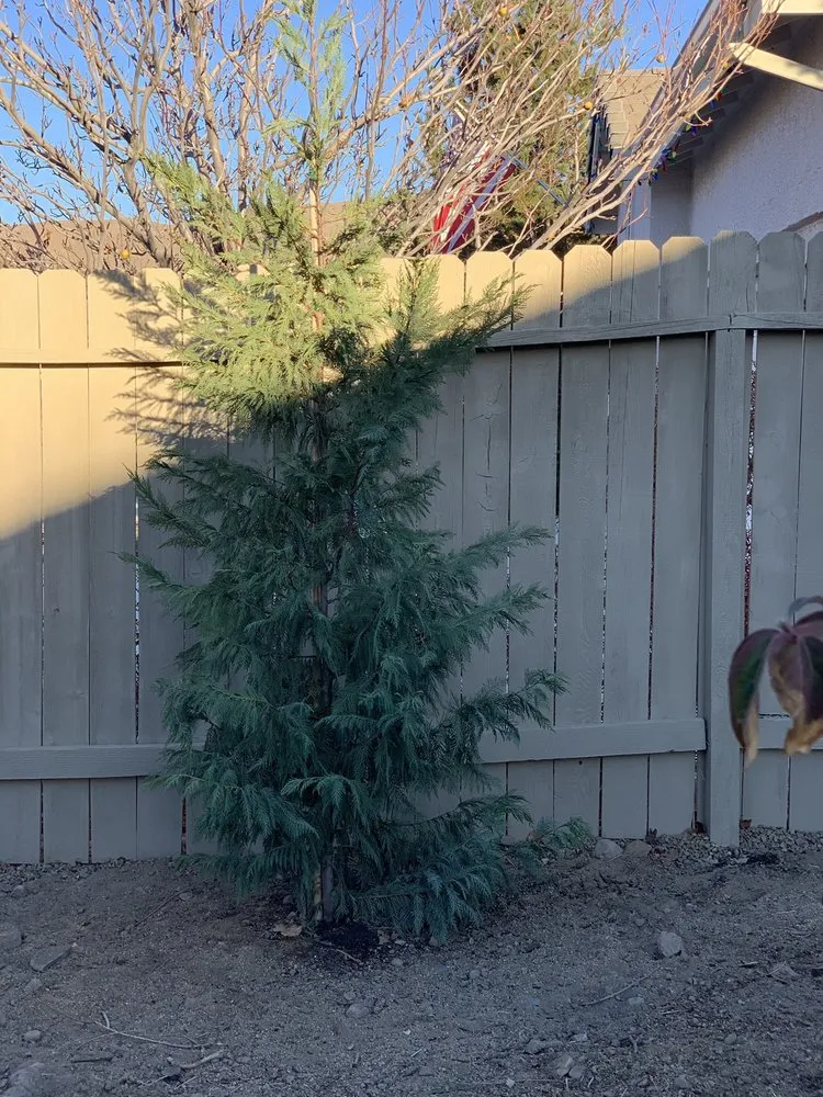 Slide of Pagni Maintenance & Repair