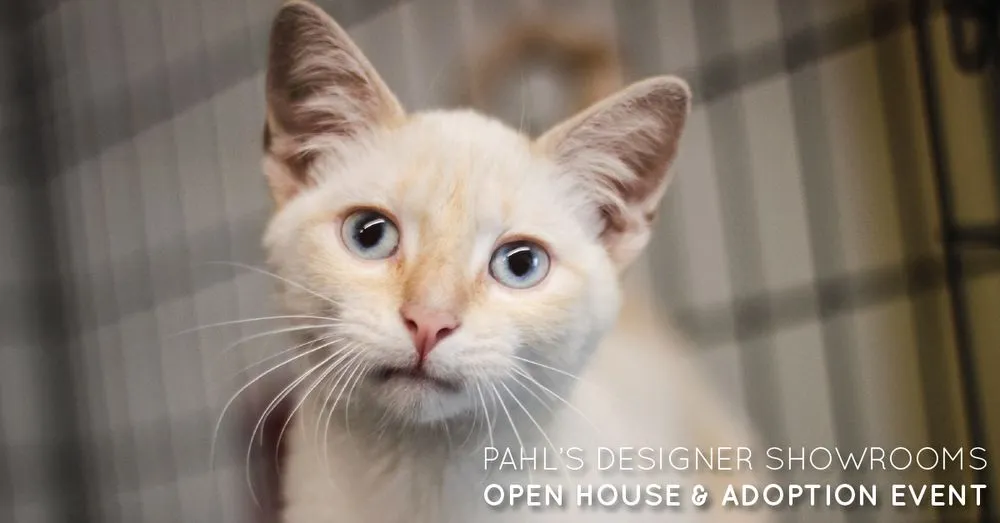 Slide of Pahl's Designer Showrooms