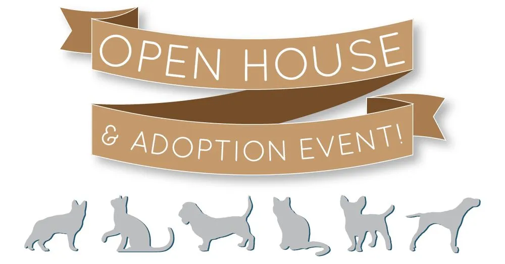 Slide of Pahl's Designer Showrooms