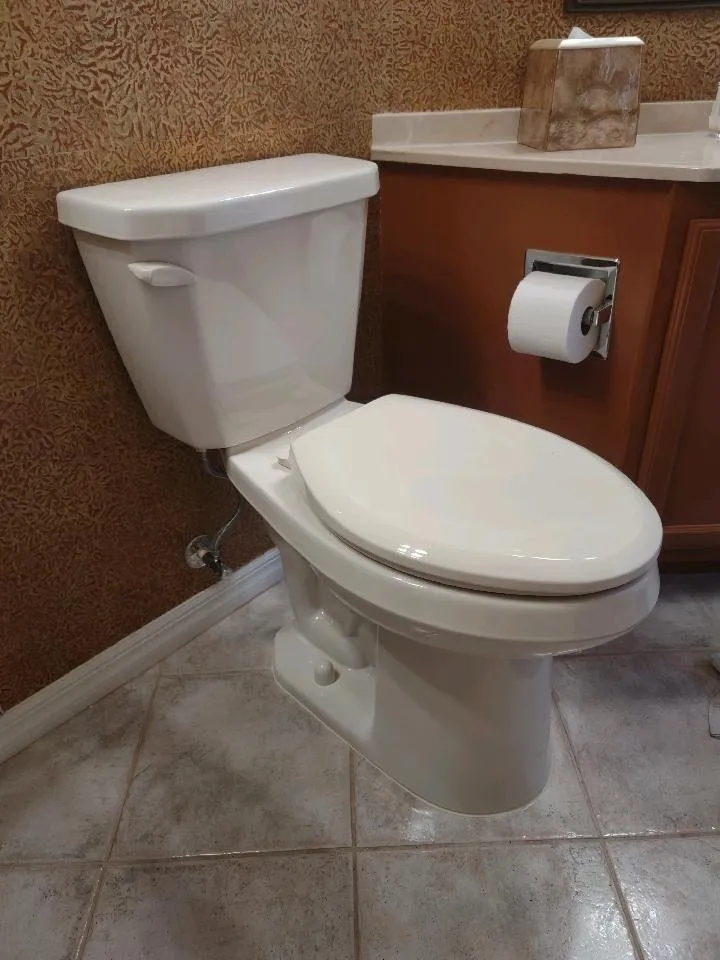 Slide of Painless Plumbing