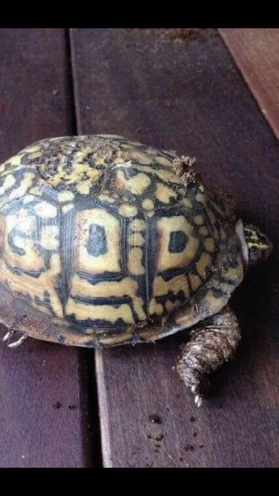 Slide of Pair Plumbing & Septic