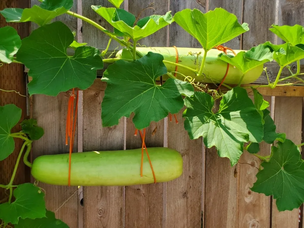 Slide of Paisleys Plumbing