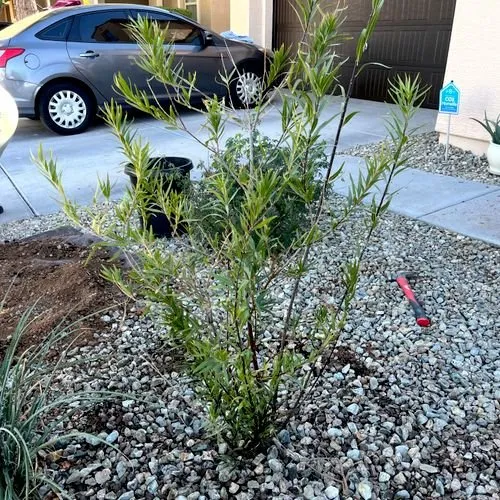 Slide of Palacios Home Services