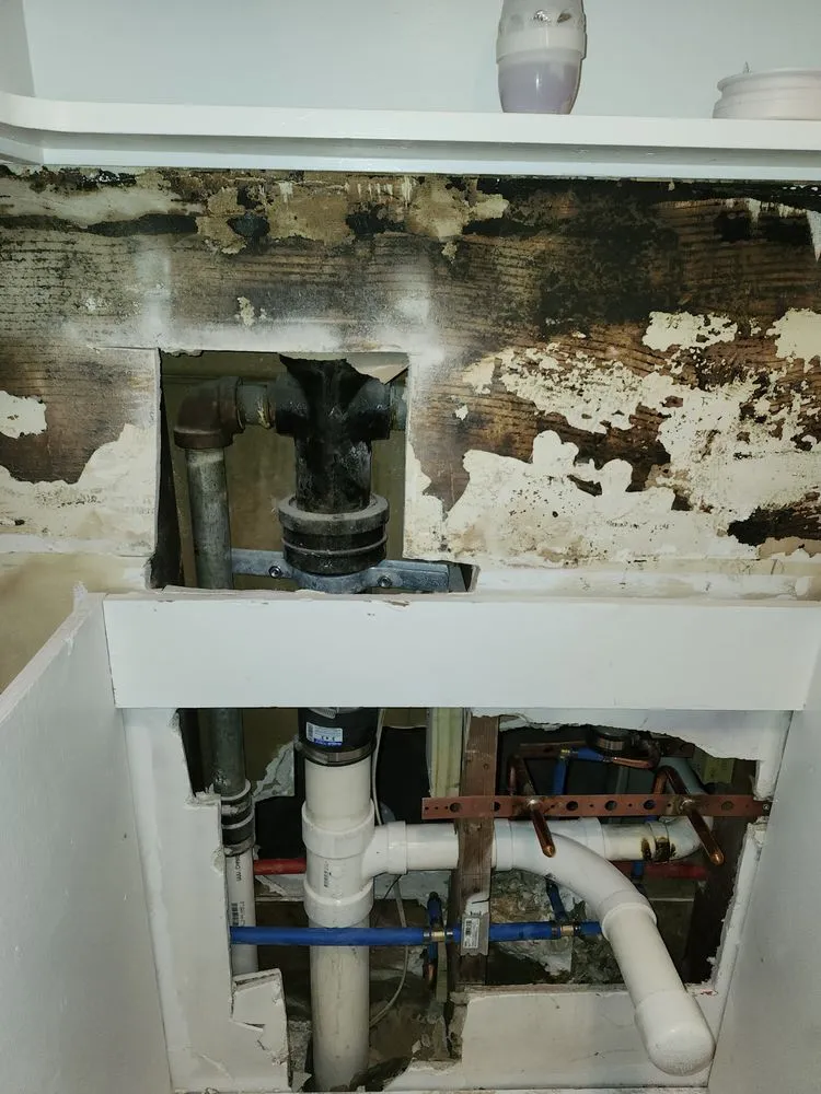 Slide of Palenque Plumbing Pioneers