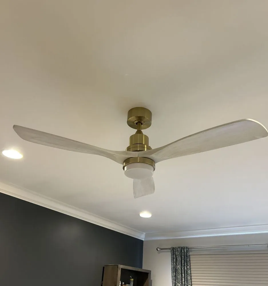 Slide of Palii Handyman