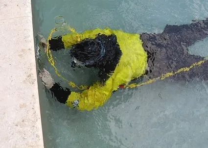 Slide of Palm Beach Leak Detection