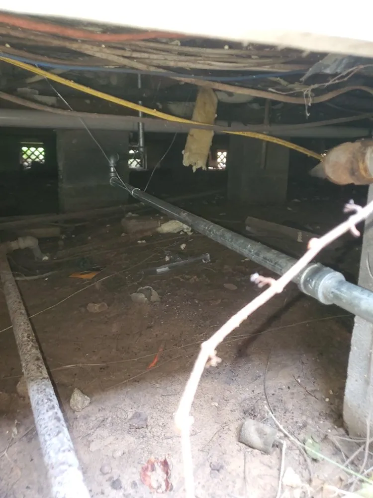 Expert water heater service experts serving Katy, TX - Palm Breeze Plumbing