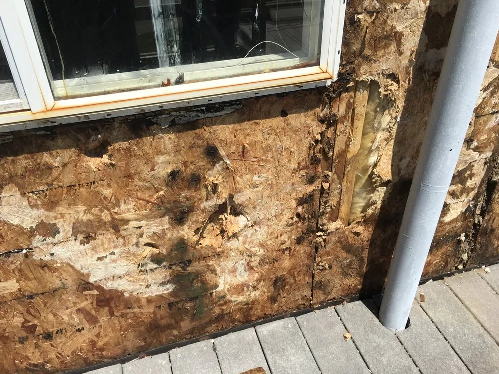 Slide of Palm Industries