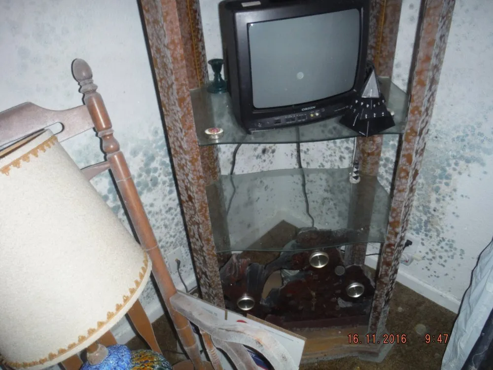 Slide of Palm Industries