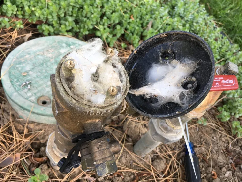 Slide of Palmer Backflow Prevention Testing