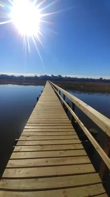 Palmetto Dock Builders
