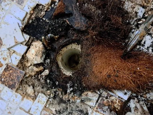 Palmetto Plumbing and Electrical