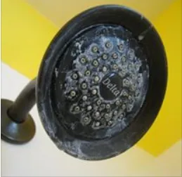 Expert plumbing repair in Palmetto, FL by Palmetto Plumbing