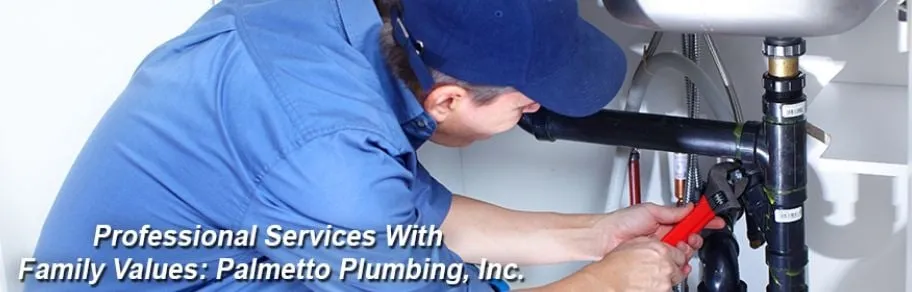 Slide of Palmetto Plumbing