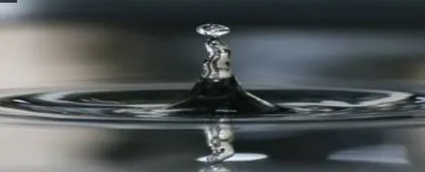 Slide of Palmetto Plumbing