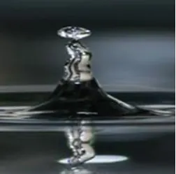 Slide of Palmetto Plumbing