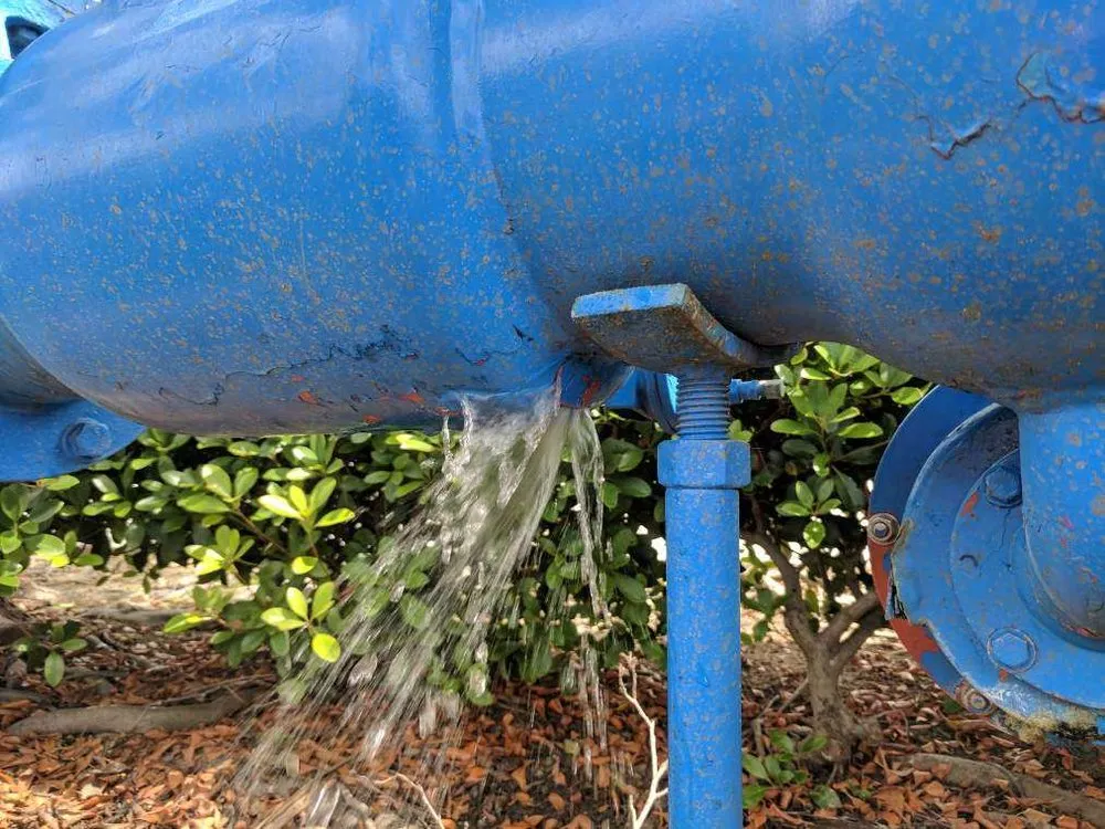 Slide of Palomar Backflow