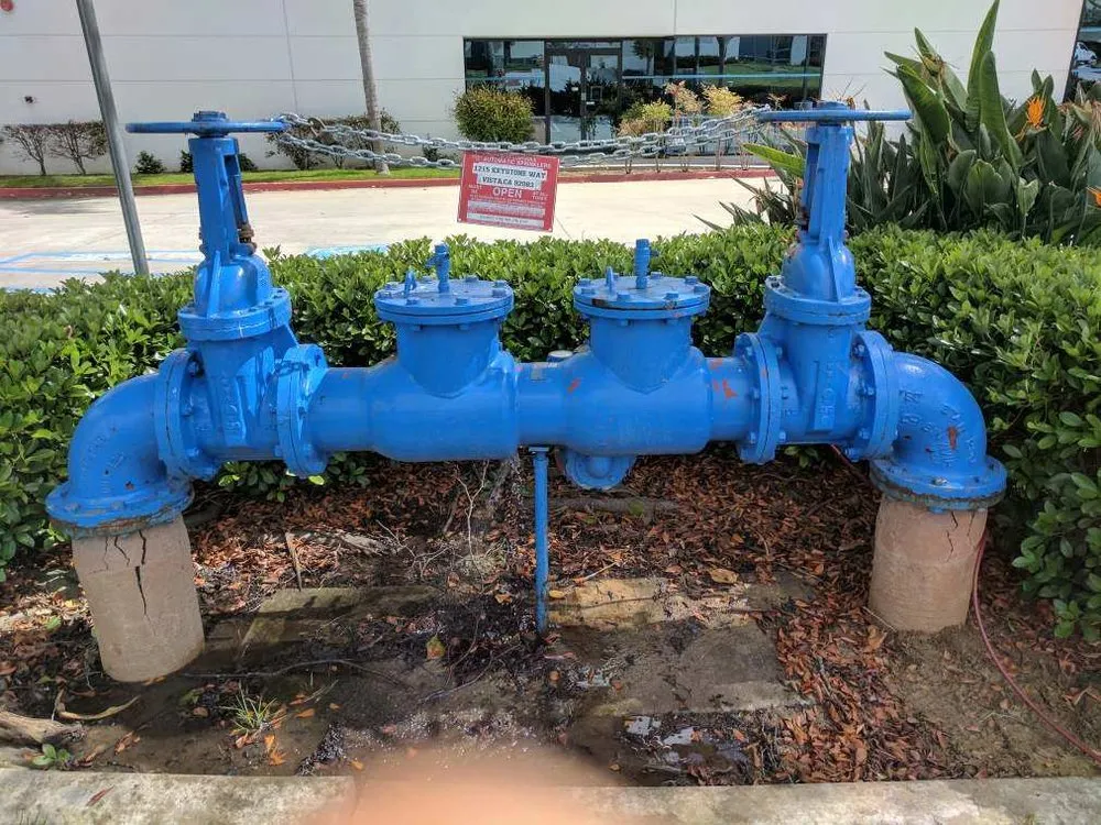 Slide of Palomar Backflow