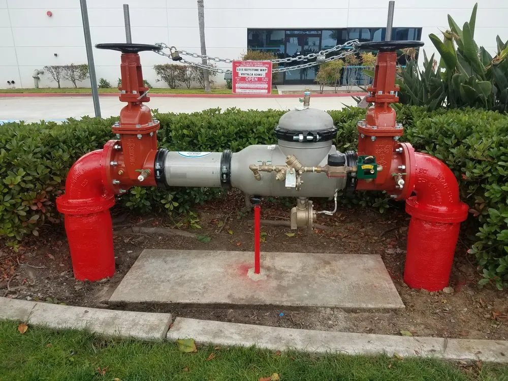 Slide of Palomar Backflow