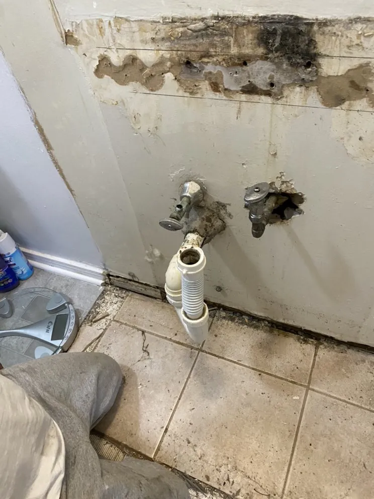 Slide of Palomino Home Improvement